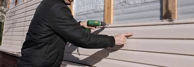 Best Siding Painting and Refinishing  in Ankeny, IA